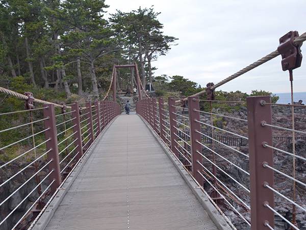 防腐木吊橋 防腐木吊橋