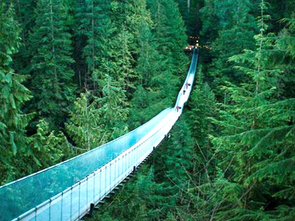 玻璃吊橋 玻璃吊橋