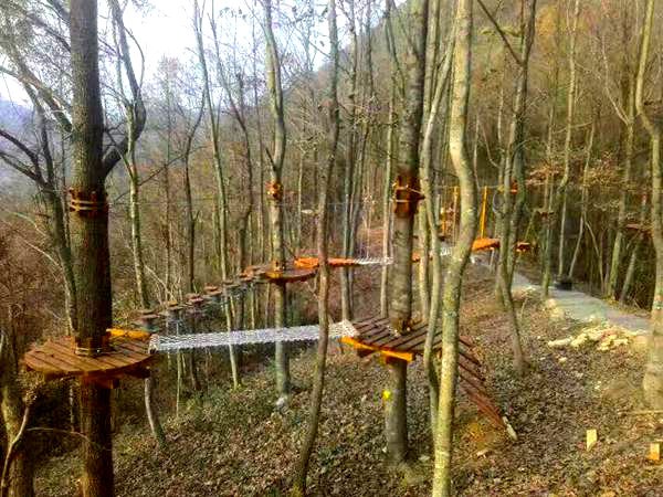 東北家園叢林穿越 東北家園叢林穿越