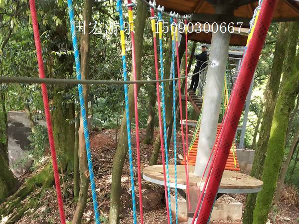 叢林穿越 叢林穿越