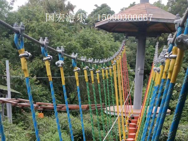 叢林穿越 叢林穿越